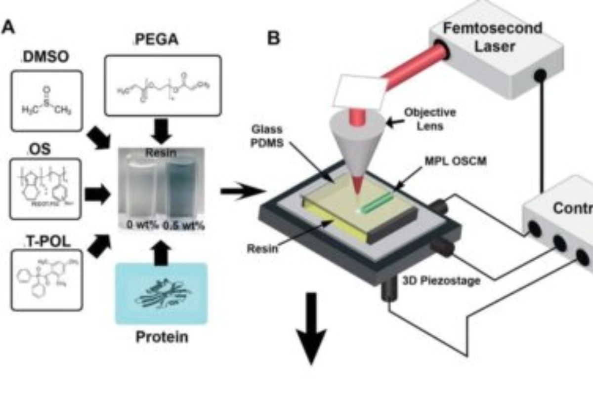 ヒューストン大学が3dプリンターを使って人体にバイオプリントできる特殊な樹脂を開発 Sharelab News