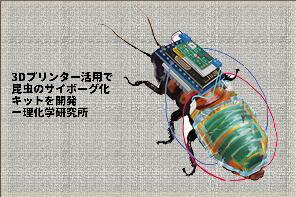 サイボーグ昆虫ー理化学研究所