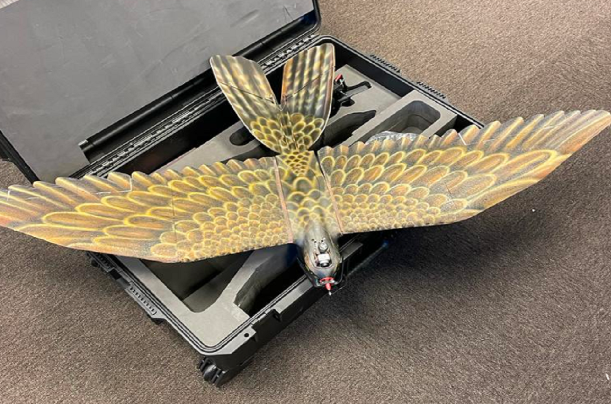 ドローンバード「Falcon」／出典：THE-DRONE-BIRD-COMPANY社