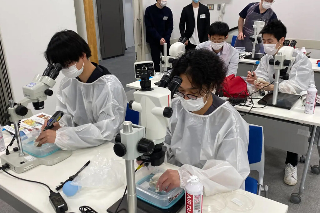 ケズレックスを用いた解剖コースの様子／出典：ジャパン・メディカル・カンパニー社