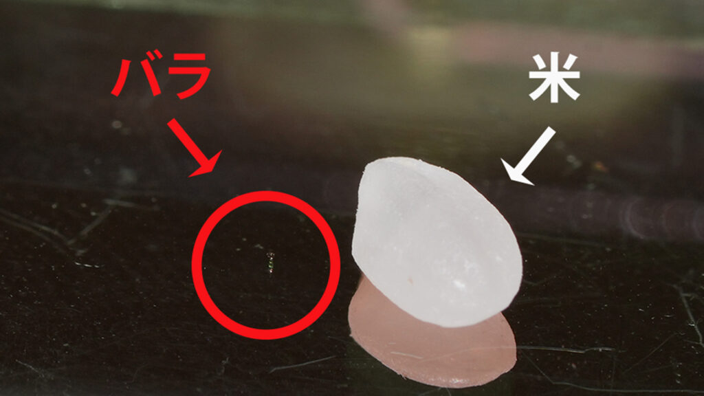 米が巨大に見えるほどのバラ造形。