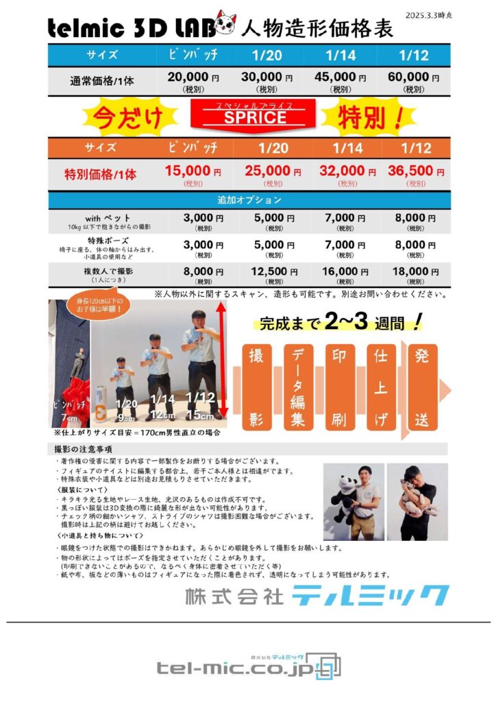 テルミック3Dラボの人物造形価格表