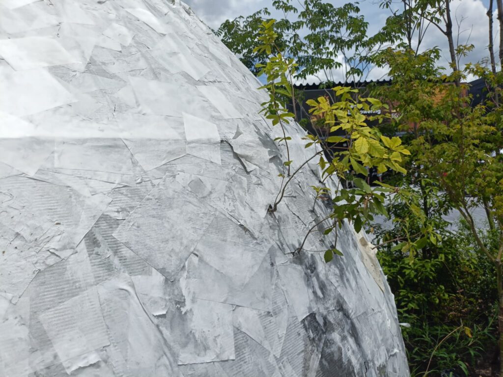 Seeds Paper Pavilion 記者撮影