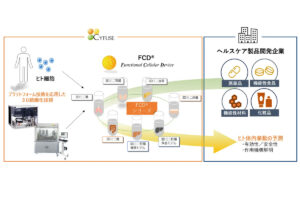 開示資料「2025年12月期 第２四半期決算説明会資料」より。