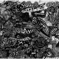 廃プラスチックを素材とした壁画アート「超密」 作:田中 拓実 氏。