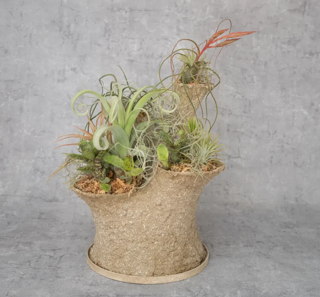 「SOIL」 淡路 広喜（出典：くにたちビジネスサポートセンターKuni-Biz）