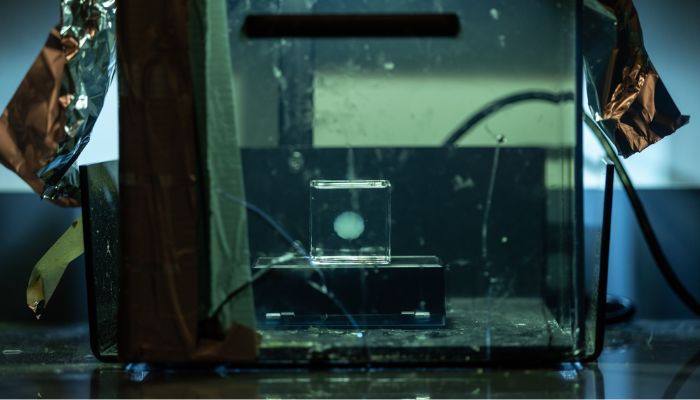 埋め込み型3Dプリントにより、モデルに部位ごとの異なる硬さを持たせることが可能である。（出典：Abbie Lankitus、ミズーリ大学）