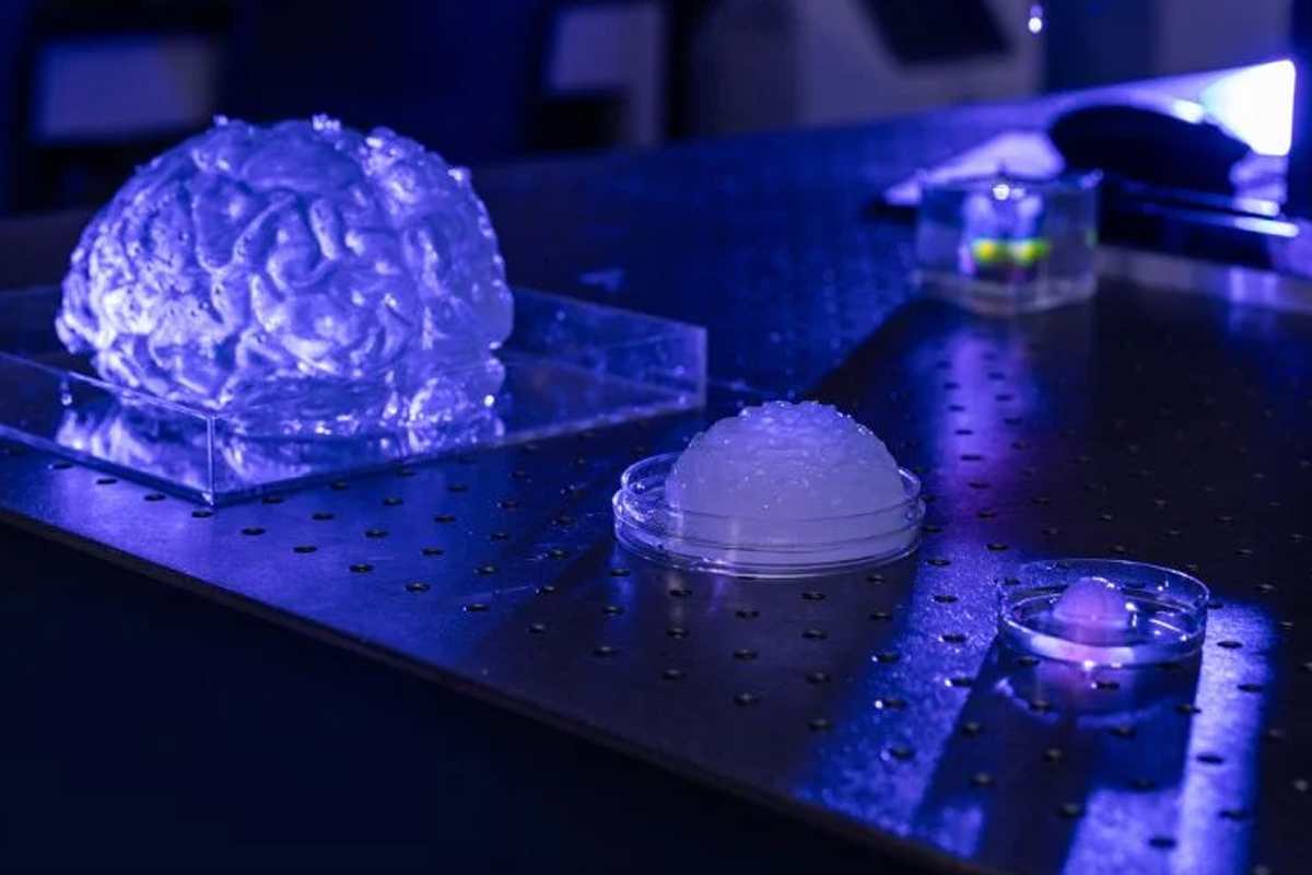 出典：Abbie Lankitus、ミズーリ大学