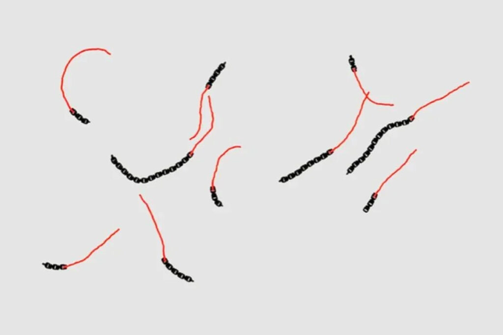 出典：University of Leiden / Daniela Kraft