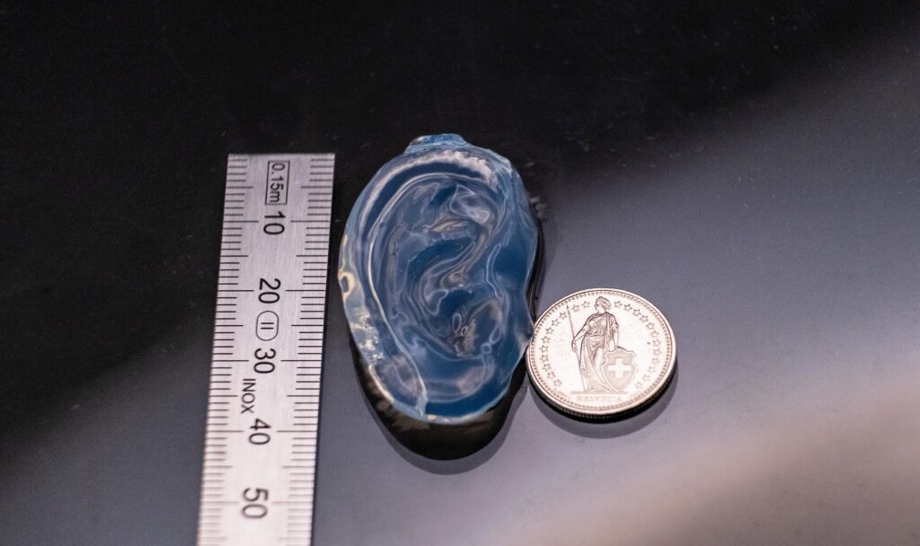 ホログラフィックVAM技術により、ゼラチンベースのレジンで造形されたヒトの耳モデル。生体適合材料を用いた高精細な3Dプリントを実現している。出典：EPFL LAPD（CC BY-SA）