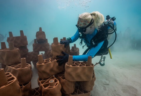 穏やかなラグーンの水中では、長期的な耐久性を確保するため、構造物をラグーンの海底へ固定する作業が行われた。（出典：Minor Hotels）